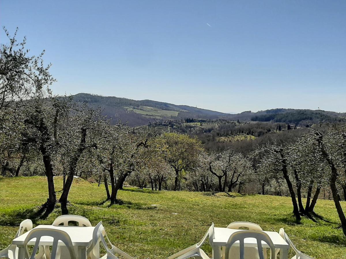 Вилла Casa Il Mandorlo Nel Chianti Кастелина ин Шианти Экстерьер фото