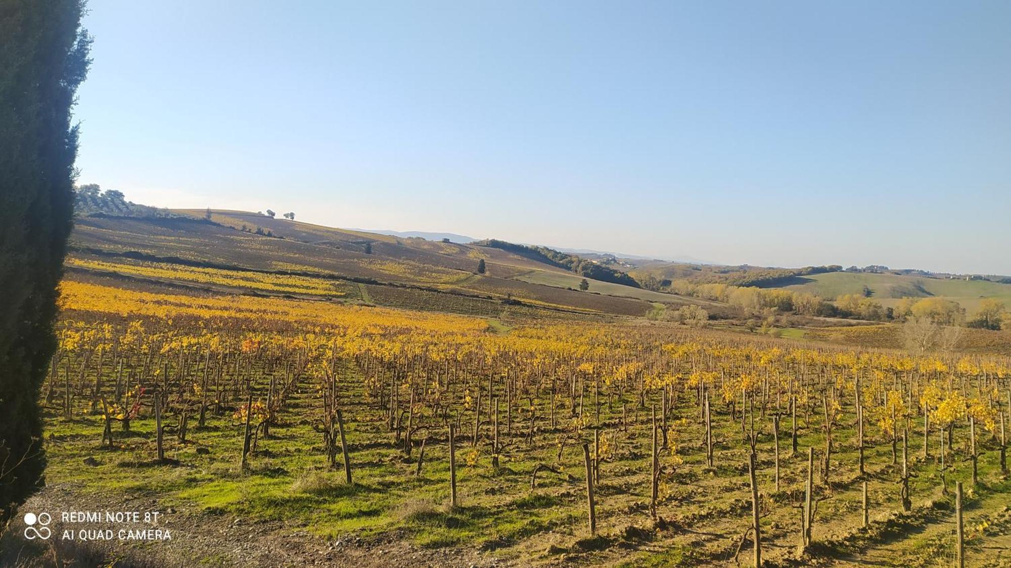 Вилла Casa Il Mandorlo Nel Chianti Кастелина ин Шианти Экстерьер фото